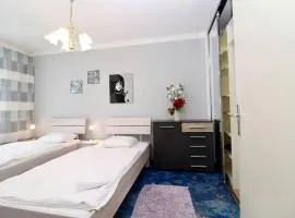 Cozy Apartment FREE parking