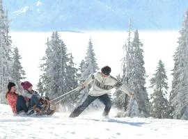 Apartment Verditz alpe maritima Ski & See - Top 1 by Interhome