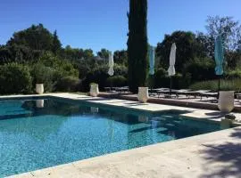 Villa Maya Large villa and amazing pool in Luberon