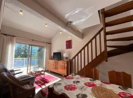 T2 Duplex à Barcelonnette avec Parc Privatif Arboré en Centre-Ville - FR-1-165A-38