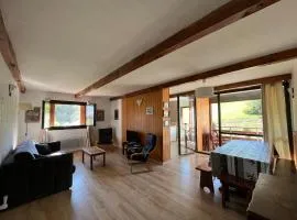 Appartement T2 face aux pistes avec terrasse, 9 couchages, proche commerces et piscine - FR-1-165A-103