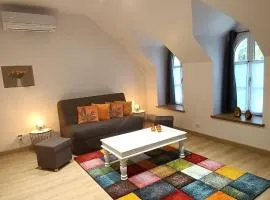 Gîte climatisé VILLA ESPERANZA à Valençay 2 à 5 p proche zoo de Beauval et châteaux Pour touristes et travailleurs