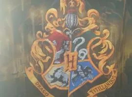 Harry Potter theme Double room in shared house