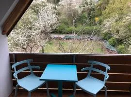 Blaues Zimmer mit grossem Balkon, Bad ist ein Traum, nur 50 Schritte zum Radweg am Main