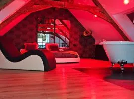Apparthotel loft Martigné-Ferchaud