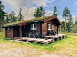 Ryen Hytteutleie - Cottages, chata v destinaci Røros