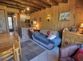Duplex cosy à 200m des pistes, balcon, casier à skis, parking, WIFI, animaux acceptés - FR-1-505-38