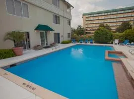 Fiddler on the Reef at Playa Rana