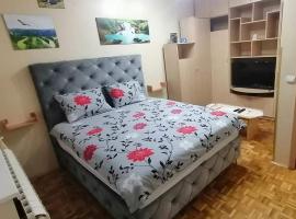 APARTMAN GOLIJA, lággjaldahótel í Vrbas