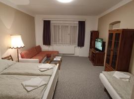 Apartmán Horní Slavkov Hodinářství, hotel near Mining Museum Krasno, Horní Slavkov