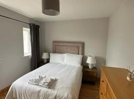 Snug apartment centrally located, apartment in Galway