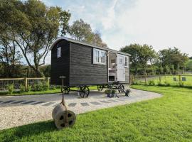 Dragonfly Shepherd's Hut, feriebolig i Aberaeron