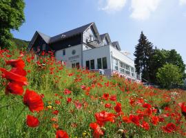 Waldhotel Schinkenwirt, hotel v destinaci Olsberg