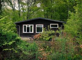 Baillie Chalet on Reelig Estate Near Inverness, country house in Kirkhill