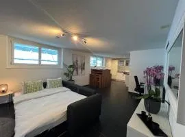 The R Apartment Froburg, Parking, Netflix, Golfplatz