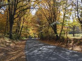 Зелений Рай, homestay in Dilijan