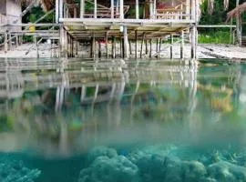 David HOMESTAY RAJA AMPAT