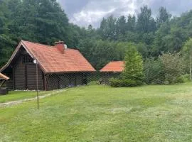 Forest House