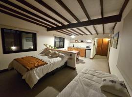 Posada del Atelier, serviced apartment in San Antonio de Areco