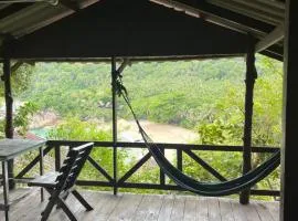 Silver cliff