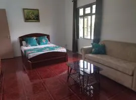 Villa TORARICA