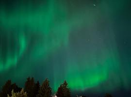 Sentral 4-roms leilighet i Trollbakken