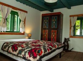 Casa Batrana, hotel with parking in Zece Hotare