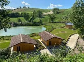 Colleolivi