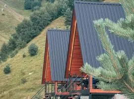 Gagma Chalets Kazbegi
