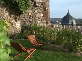 Bonjour Pierreuse, B&B i Liège