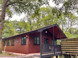 Woodland Lodge’s St Clears, lodge i Carmarthen