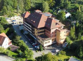 Hotel Ambra, hotel in Luhačovice