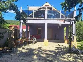 Tianeti Purple Villa