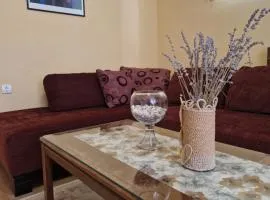 Apartment Studenac