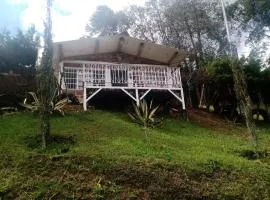 Linda Vista Los Pinos Cabaña