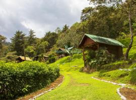 Cabañas Palma Sky Lodge – domek górski w mieście Oxapampa