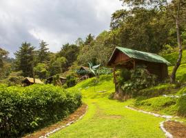 Cabañas Palma Sky Lodge, lodge in Oxapampa