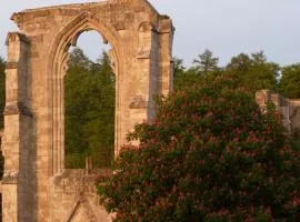 Ferienwohnungen Klosterblick