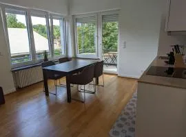 Refurbished 1BR Apartment in Limpertsberg