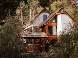 Aproka - Chalet Mignon Adorable small guest house, cabin in Sicasău