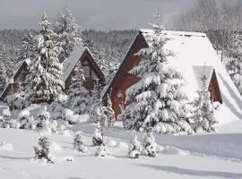 Holiday Home Tennenbronn-1 by Interhome