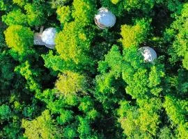 Wine Space Boutique Hotel & Glamping