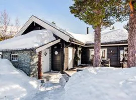 Gorgeous Home In Bjorli With Wifi