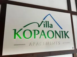 Vila Kopaonik Apartmani Milenkovic
