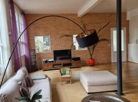 Loft en duplex 270 m2 & Jardin patio terrasse sauna, holiday rental in Chaville