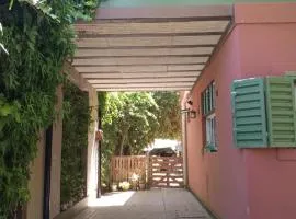 El olivo apart