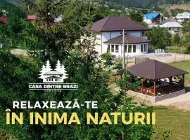 Casa Dintre Brazi