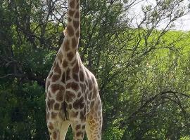 Goshen Guest Farm, farm stay in Edenburg