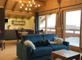 Bel appartement 3 pièces, 60m², 6 pers, Alpe d'Huez - Près des commerces, pistes et remontées mécaniques - FR-1-405-340