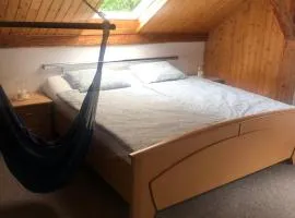 Ubytování Háj